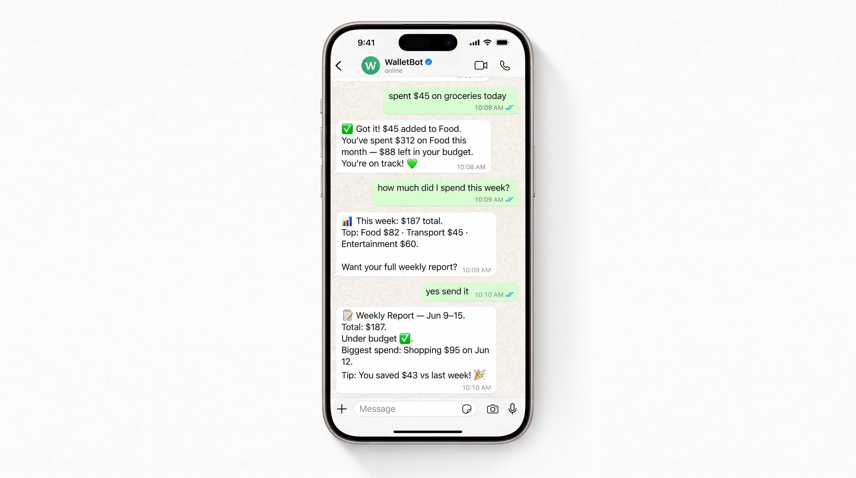 WalletBot WhatsApp conversation on iPhone